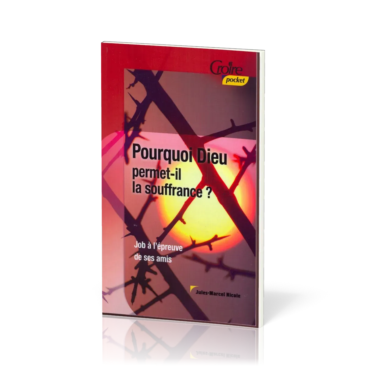 Pourquoi Dieu permet-il la souffrance? - Job à l'épreuve de ses amis