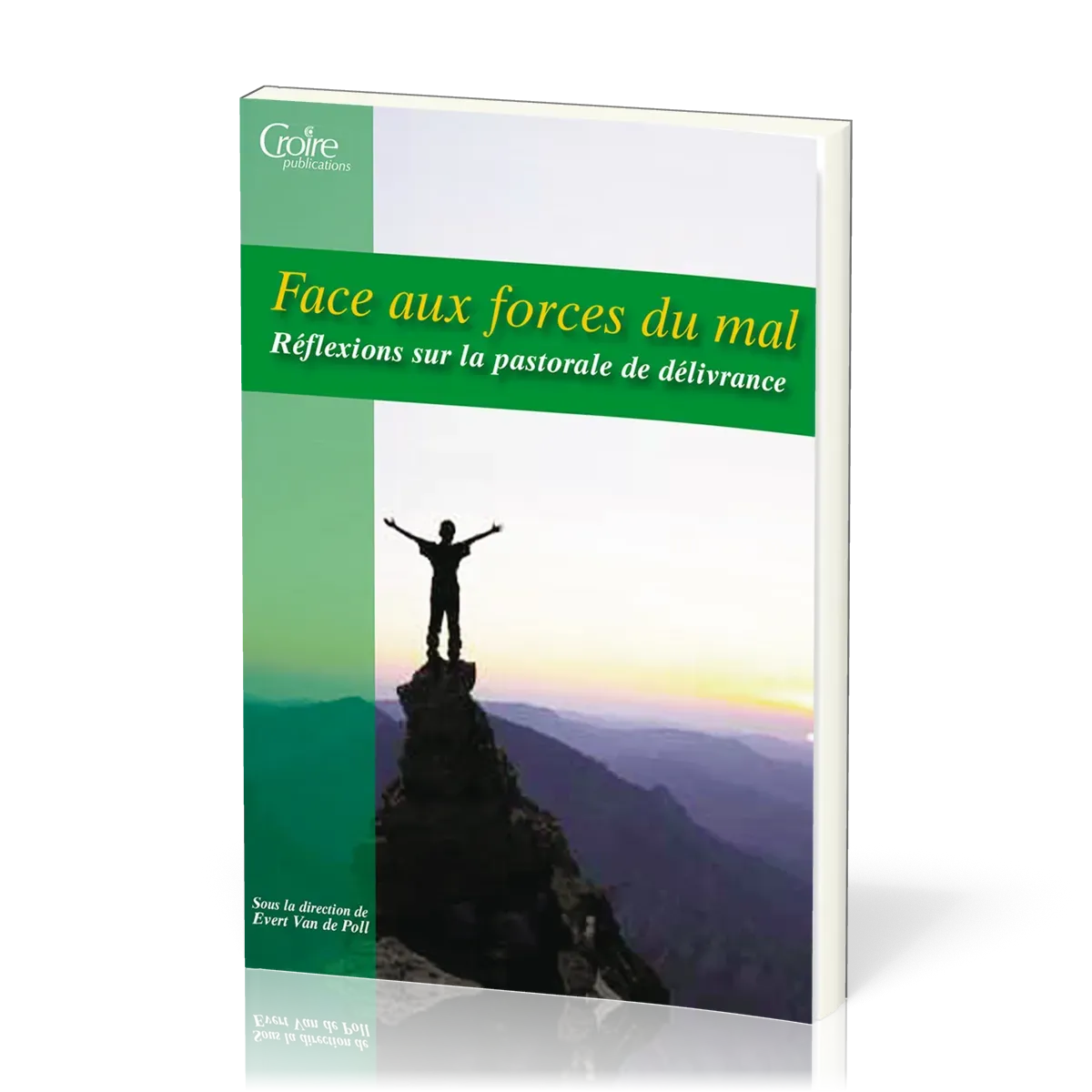 Face aux forces du mal - Réflexions sur la pastorale de délivrance - Série: les cahiers de...