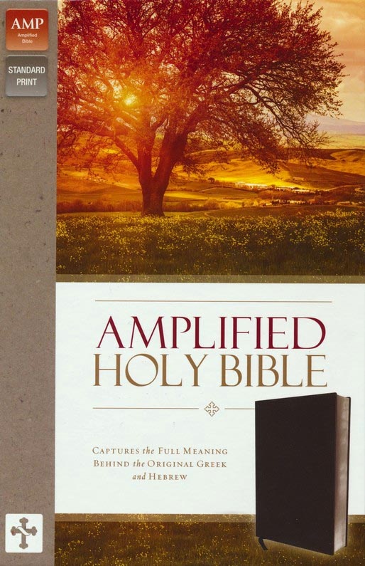 Anglais, Bible Amplified, Fibrocuir, noir, onglets