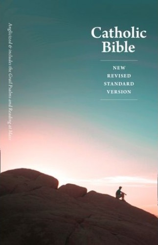 Anglais, Bible New Revised Standard Version, cartonnée, couverture illustrée