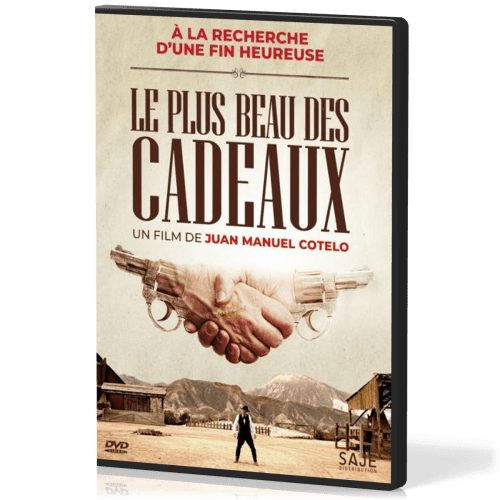 Plus beau des cadeaux (Le) - A la recherche d'une fin heureuse - DVD