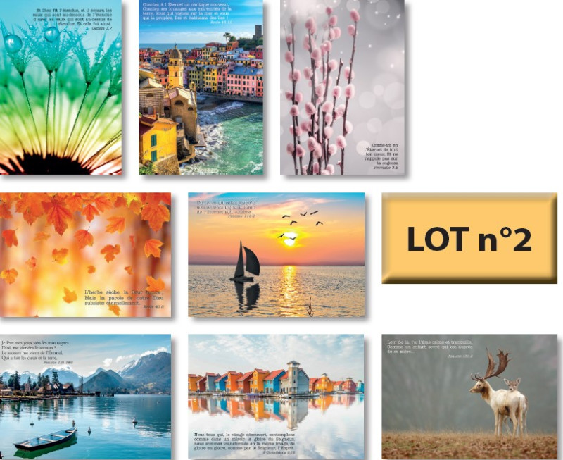 Cartes De Noël Caritatives Par Museums & Galleries – Ratty & Mole