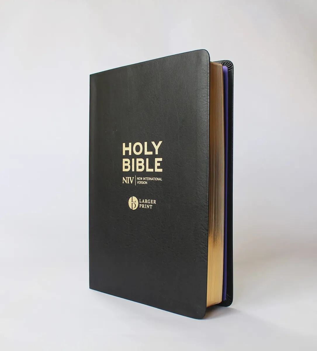 Anglais, Bible NIV, gros caractères, similicuir, noir