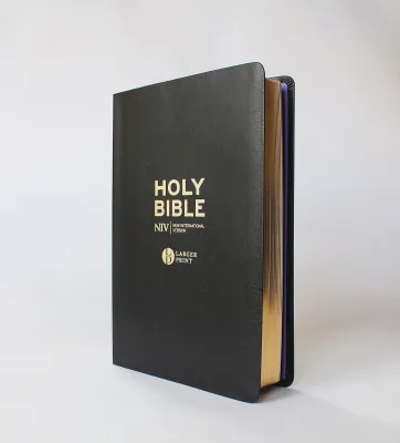 Anglais, Bible NIV, gros caractères, similicuir, noir