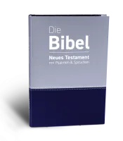 Die Bibel - Neues Testament mit Psalmen und Sprüchen Luther.heute Grossdruck