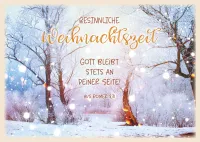 Postkartenbox Weihnachten Segenswünsche zum Fest - 12 verschiedene Postkarten in einer Box mit...