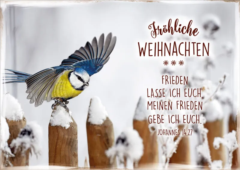 Postkartenbox Weihnachten Gesegnete Weihnachten - 12 verschiedene Postkarten in einer Box mit...