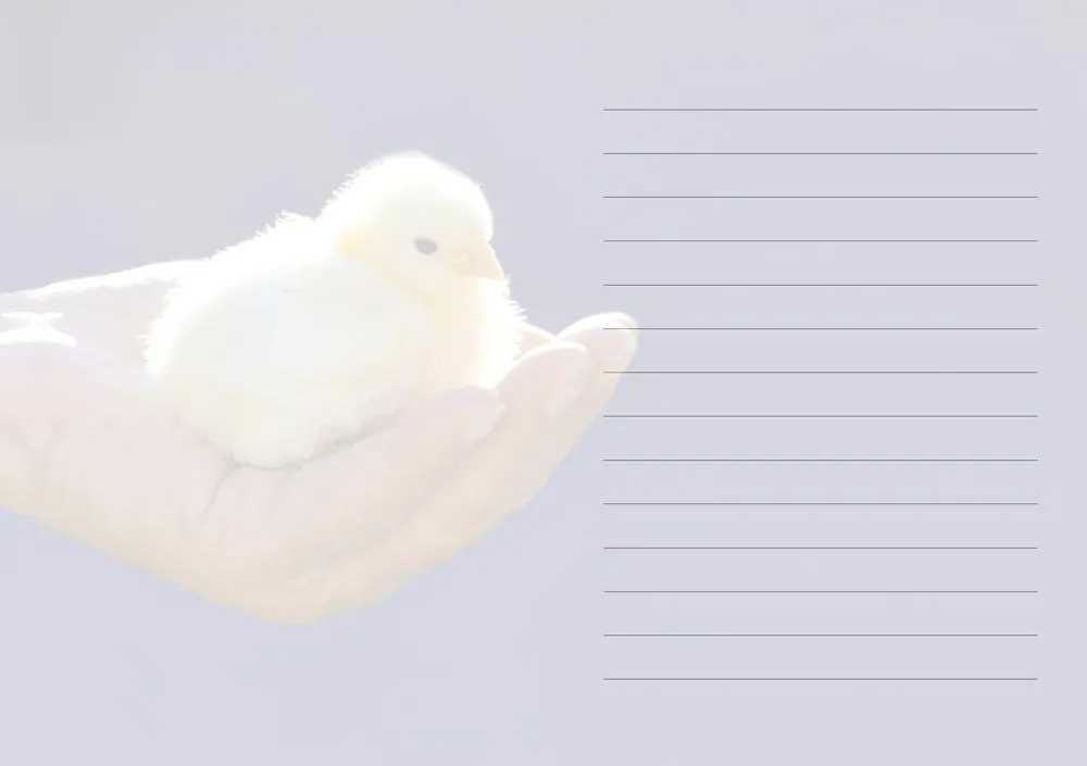 Grussheft mit Briefumschlag Herzliche Grüsse