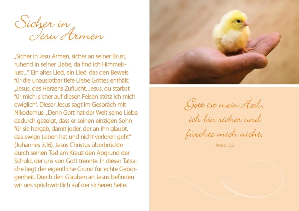 Grussheft mit Briefumschlag Herzliche Grüsse