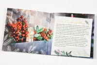 Stille Nacht - alles kracht!? - Ein Weihnachts-Verteilheft