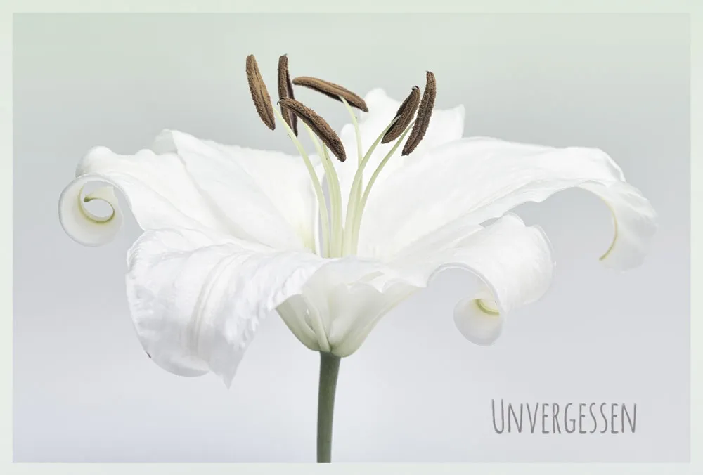 Doppelkarte Trauer Unvergessen SF