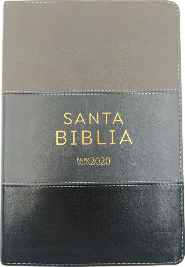 Espagnol, Bible Reina Valera 2020, gros caractères, similicuir, camaïeu gris, tranche or