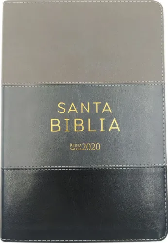 Espagnol, Bible, Reina Valera 2020, gros caractères, similicuir, camaïeu gris, tranche or