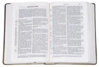 Allemand, Bible Schlachter 2000, motif "tulipe", références, parallèles [nouvelle orthographe]...