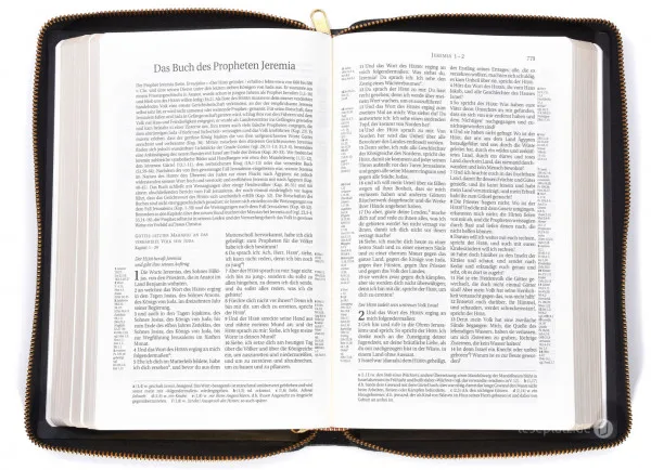 Allemand, Bible Schlachter 2000, références parallèles, cuir souple, fermeture éclair - Tranche...