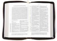 Allemand, Bible Schlachter 2000, références parallèles, cuir souple, fermeture éclair - Tranche...