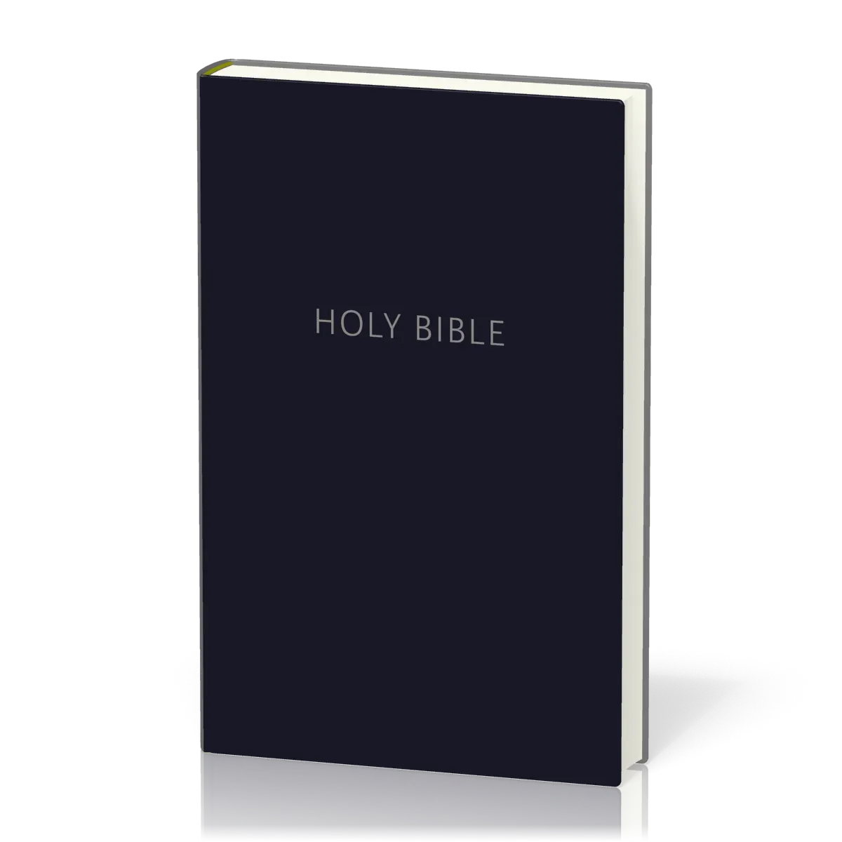 Anglais, Bible NKJV, Pew Bible, cartonnée, bleue