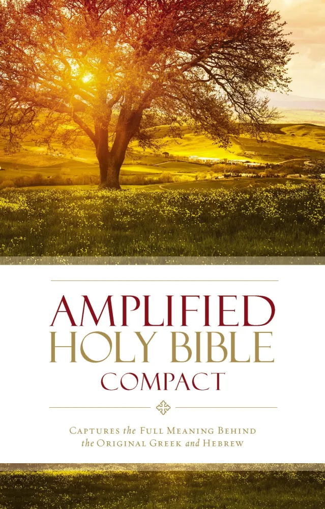 Anglais, Bible Amplified, compact, rigide, couverture illustrée