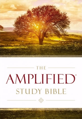 Anglais, Bible d'étude Amplified, gros caractères, cartonnée, couverture illustrée