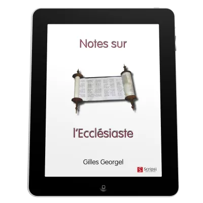 Notes sur l'Ecclésiaste - ePub