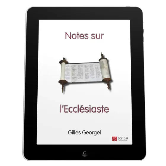 Notes sur l'Ecclésiaste - ePub
