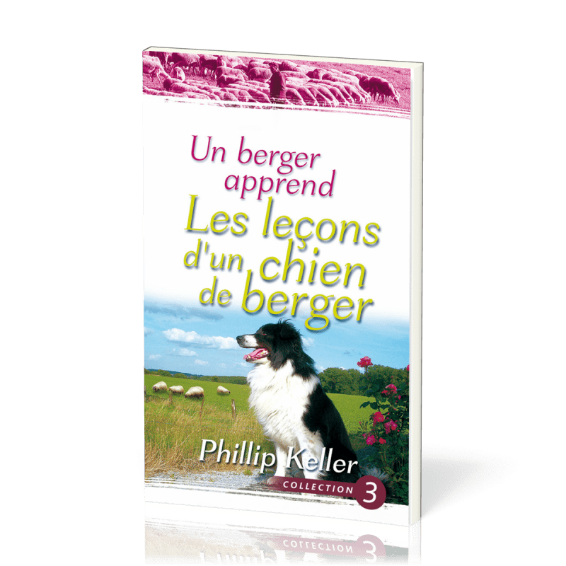 Un berger apprend Les leçons d'un chien de berger Keller Phillip W — free download