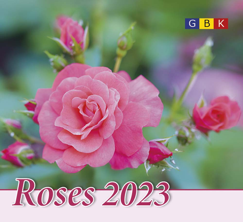 Roses - Petit calendrier avec 12 magnifiques photos de roses