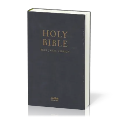 Anglais, Bible King James Version, cuir, noire, tranche or