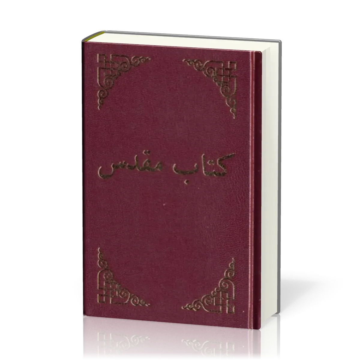Dari, Bible - Afghanistan