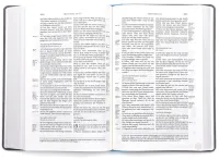 Allemand, Bible Schlachter 2000, poche, avec  paralelles, reliure coloré bleu clair/gris, reliure...