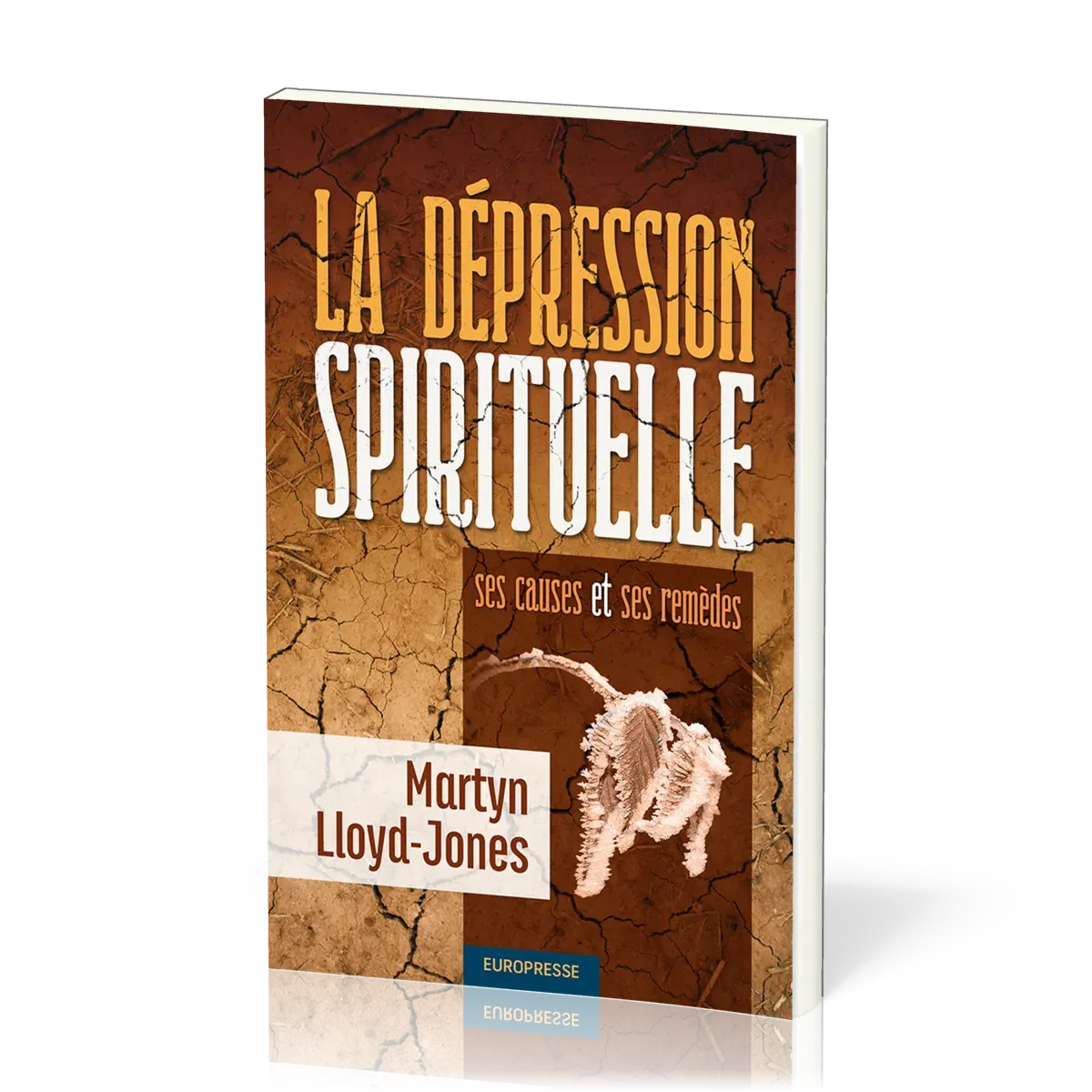 Dépression spirituelle (La) - Ses causes et ses remèdes