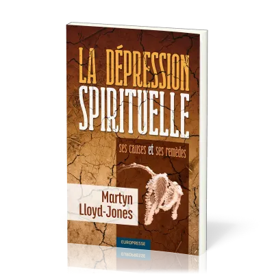 Dépression spirituelle (La) - Ses causes et ses remèdes