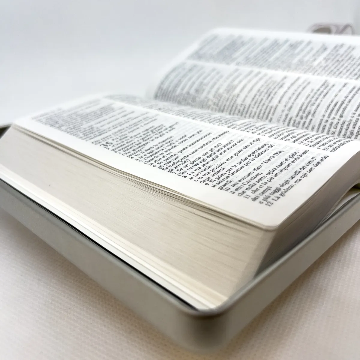 Italien, Bible Nuova Riveduta - métal
