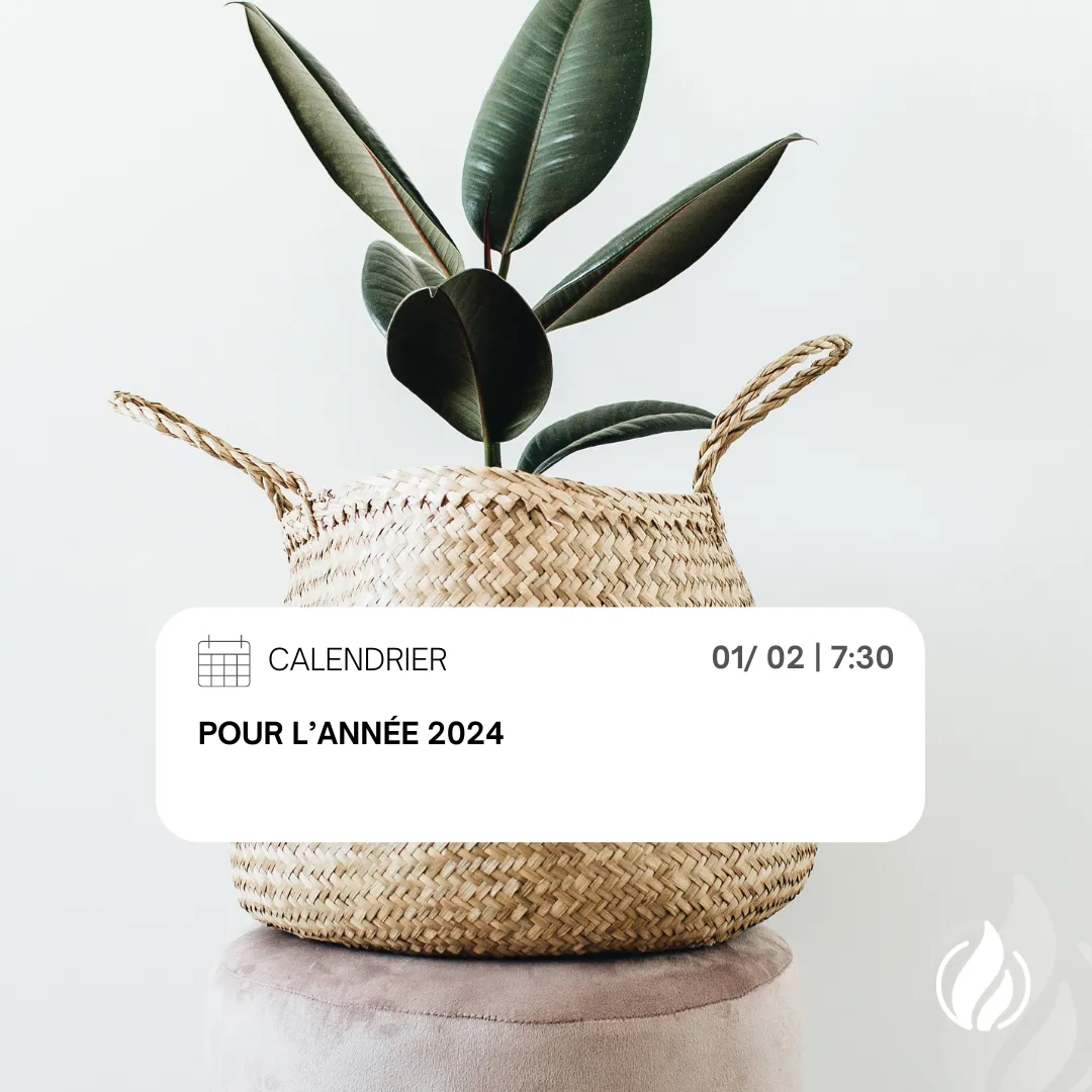  Découvrez notre vaste sélection de calendriers quotidiens et mensuels ! 